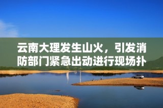 云南大理发生山火，引发消防部门紧急出动进行现场扑救工作，确保火势得到控制与灭尽