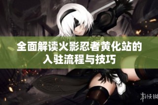 全面解读火影忍者黄化站的入驻流程与技巧