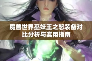 魔兽世界巫妖王之怒装备对比分析与实用指南