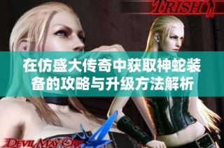 在仿盛大传奇中获取神蛇装备的攻略与升级方法解析