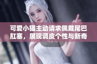 可爱小猫主动请求佩戴尾巴肛塞，展现调皮个性与新奇体验