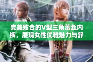 完美贴合的V型三角蕾丝内裤，展现女性优雅魅力与舒适体验
