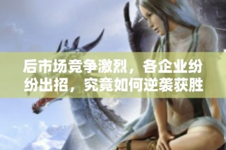 后市场竞争激烈，各企业纷纷出招，究竟如何逆袭获胜