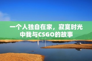 一个人独自在家，寂寞时光中我与CSGO的故事