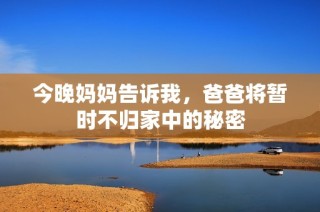 今晚妈妈告诉我，爸爸将暂时不归家中的秘密