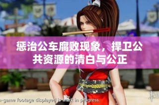 惩治公车腐败现象，捍卫公共资源的清白与公正