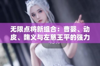 无限点将新组合：曹婴、动皮、麴义与左慈王平的强力阵容解析