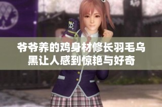 爷爷养的鸡身材修长羽毛乌黑让人感到惊艳与好奇
