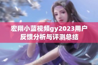 宏翔小蓝视频gy2023用户反馈分析与评测总结