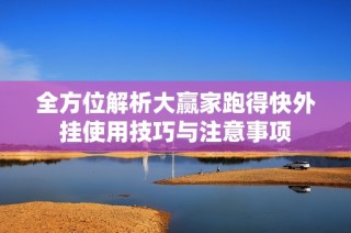 全方位解析大赢家跑得快外挂使用技巧与注意事项
