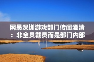 网易深圳游戏部门传闻澄清：非全员裁员而是部门内部人事调整情况揭秘