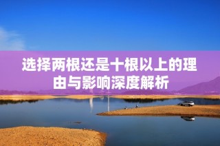选择两根还是十根以上的理由与影响深度解析