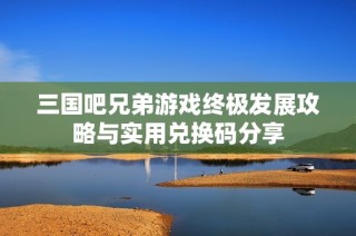 三国吧兄弟游戏终极发展攻略与实用兑换码分享