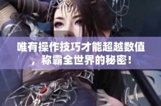 唯有操作技巧才能超越数值，称霸全世界的秘密！