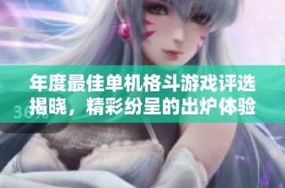 年度最佳单机格斗游戏评选揭晓，精彩纷呈的出炉体验