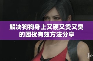 解决狗狗身上又硬又烫又臭的困扰有效方法分享