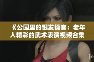 《公园里的银发镖客：老年人精彩的武术表演视频合集》