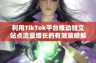 利用TikTok平台推动独立站点流量增长的有效策略解析