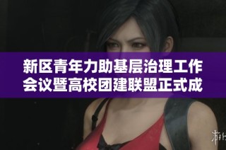 新区青年力助基层治理工作会议暨高校团建联盟正式成立