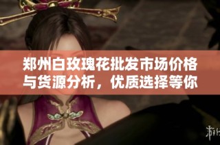 郑州白玫瑰花批发市场价格与货源分析，优质选择等你来发现