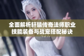 全面解析轩辕传奇法师职业技能装备与战宠搭配秘诀