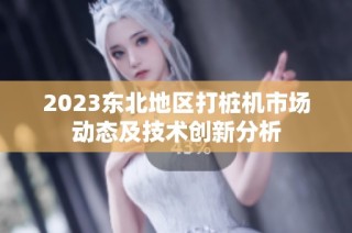 2023东北地区打桩机市场动态及技术创新分析