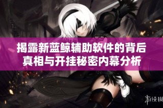 揭露新蓝鲸辅助软件的背后真相与开挂秘密内幕分析