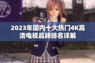 2023年国内十大热门4K高清电视品牌排名详解