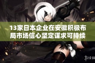 13家日本企业在安徽积极布局市场信心坚定谋求可持续发展