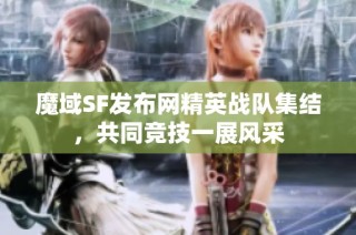 魔域SF发布网精英战队集结，共同竞技一展风采