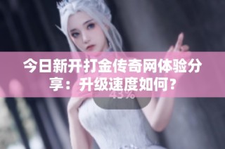 今日新开打金传奇网体验分享：升级速度如何？