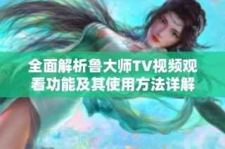 全面解析鲁大师TV视频观看功能及其使用方法详解