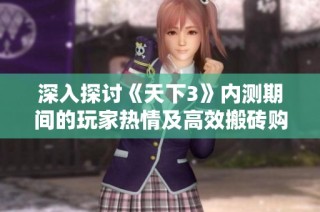 深入探讨《天下3》内测期间的玩家热情及高效搬砖购买账号的攻略分享