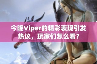 今晚Viper的精彩表现引发热议，玩家们怎么看？