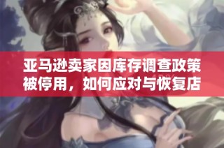 亚马逊卖家因库存调查政策被停用，如何应对与恢复店铺运营