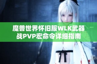 魔兽世界怀旧服WLK武器战PVP宏命令详细指南