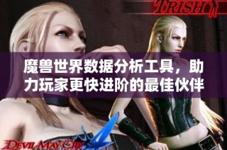 魔兽世界数据分析工具，助力玩家更快进阶的最佳伙伴
