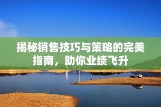 揭秘销售技巧与策略的完美指南，助你业绩飞升