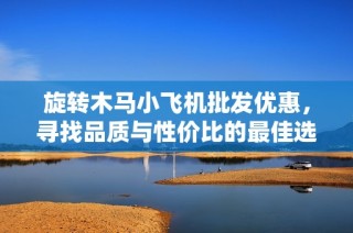 旋转木马小飞机批发优惠，寻找品质与性价比的最佳选择