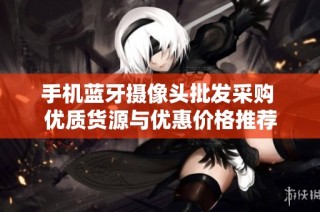 手机蓝牙摄像头批发采购 优质货源与优惠价格推荐