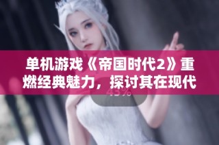 单机游戏《帝国时代2》重燃经典魅力，探讨其在现代社会的影响与价值