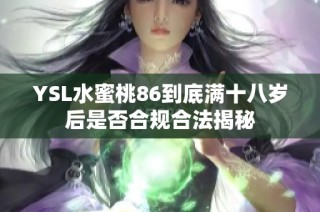 YSL水蜜桃86到底满十八岁后是否合规合法揭秘