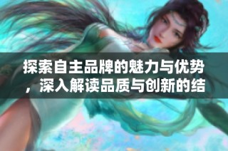 探索自主品牌的魅力与优势，深入解读品质与创新的结合之道