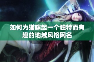 如何为猫咪起一个独特而有趣的地域风格网名