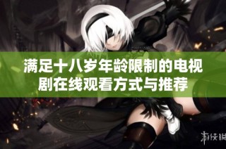 满足十八岁年龄限制的电视剧在线观看方式与推荐