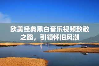 欧美经典黑白音乐视频致敬之路，引领怀旧风潮
