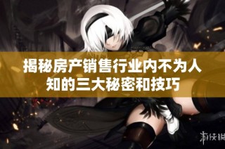 揭秘房产销售行业内不为人知的三大秘密和技巧