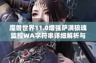 魔兽世界11.0增强萨满狼魂监控WA字符串详细解析与使用技巧