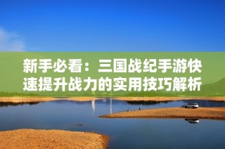 新手必看：三国战纪手游快速提升战力的实用技巧解析