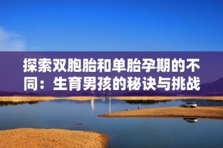 探索双胞胎和单胎孕期的不同：生育男孩的秘诀与挑战解析